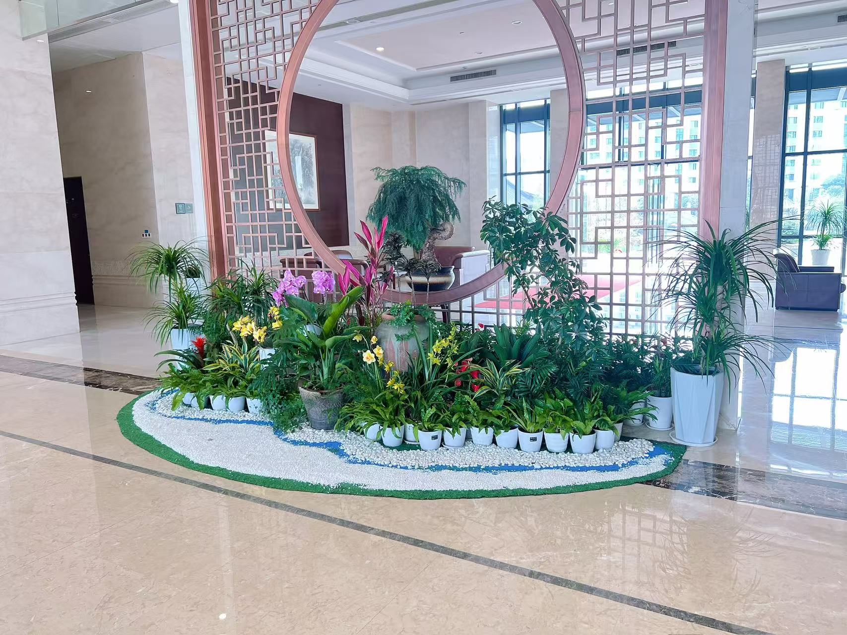 超实惠！宁波杭州湾花卉租摆，装点你的梦幻角落